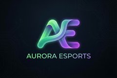 抖音风合作品牌极光电竞